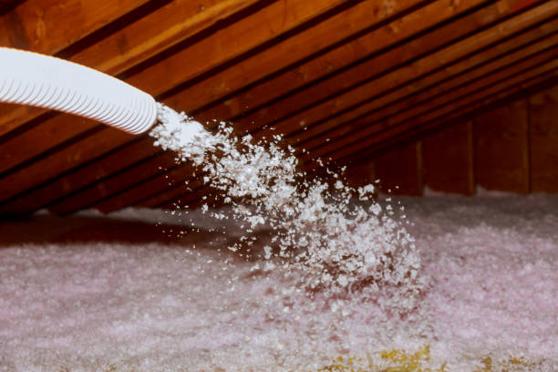 Best Eco-Friendly Insulation in Horatio, AR