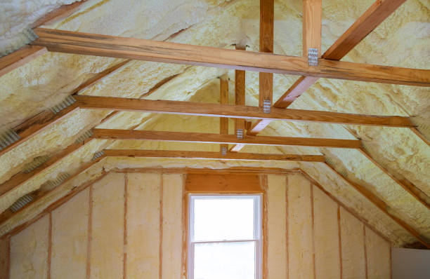 Best Residential Insulation in Horatio, AR