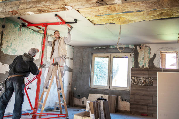 Types of Insulation We Offer in Horatio, AR