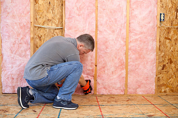 Best Cellulose Insulation in Horatio, AR