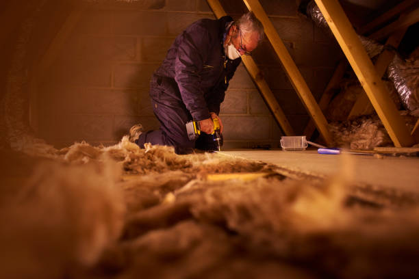 Best Insulation for Specific Applications in Horatio, AR