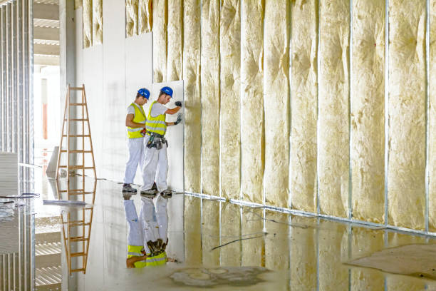 Best Blown-in Insulation in Horatio, AR